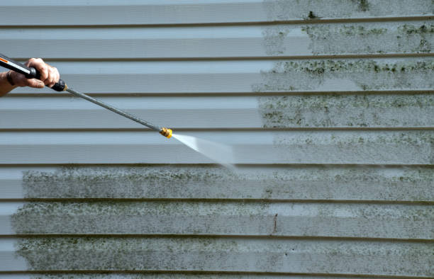 Trusted Papillion, NE Pressure Washing Services Experts